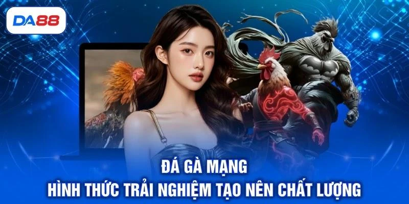 Đá Gà Mạng - Hình Thức Trải Nghiệm Tạo Nên Chất Lượng 1 Đá Gà Mạng - Hình Thức Trải Nghiệm Tạo Nên Chất Lượng
